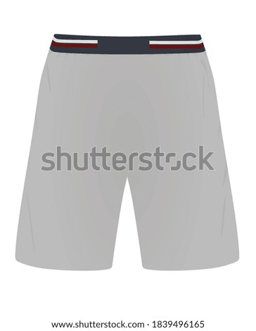 Grey  shorts, front  view, vector illustration