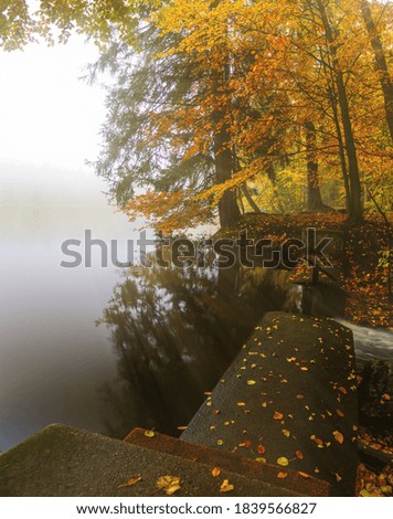 Autumn by The Pond with fog and sun rays