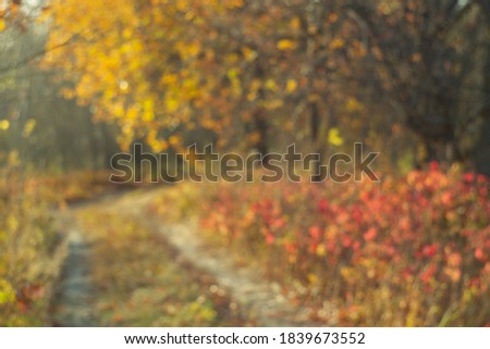 Blurred bokeh of autumn leaves in the forest on a warm Sunny day. Autumn forest, illuminated by the morning sun.The colors of autumn.