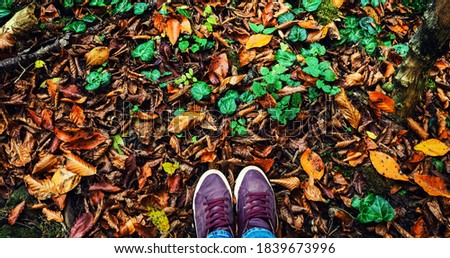 banner for web Close up of legs walking in the forest, legs on a forest hiking trail covered in autumn leaves and roots, going up.