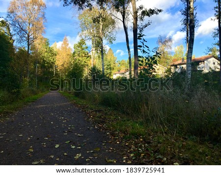 A graveled path at a rural Swedish area with some white and yellow houses in the background. Green trees. Shade and shadows in half the picture, the other half is sunny. Järfälla, Stockholm, Sweden