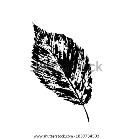 stamp imprint leaf. Ink from plant leaves on paper. abstract herbarium. Natural patterns black outline. Object, vector illustration isolated on white.