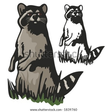 Vector illustration of a badger.