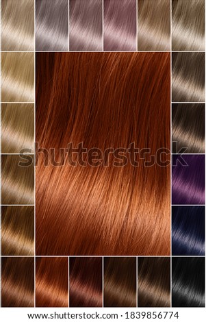 Hair Dye. Hair color palette with a wide range of swatches showing color swatches arranged in neat rows on a postcard. Printing. A set of hair dyes. Various colors. orange, red