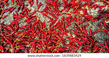 Red Chilli Usage Red chili's are usually grounded into a powder and used as a spice.