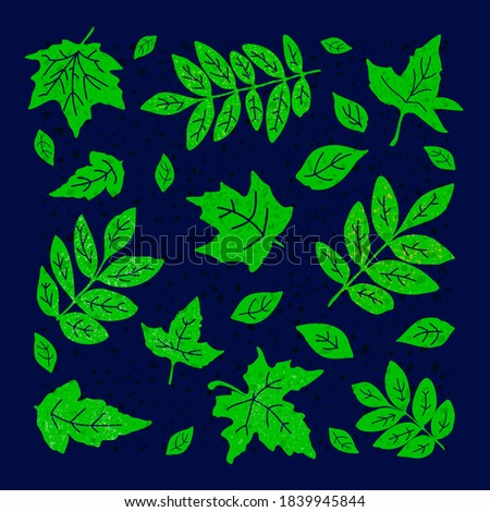 Background with green different leaves. Botanical composition. Vector image.    