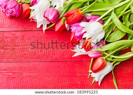 wood background and colorful tulips