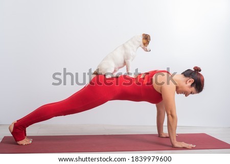 Woman in a plank pose with her pet. Yoga with Jack Russell Terrier dog