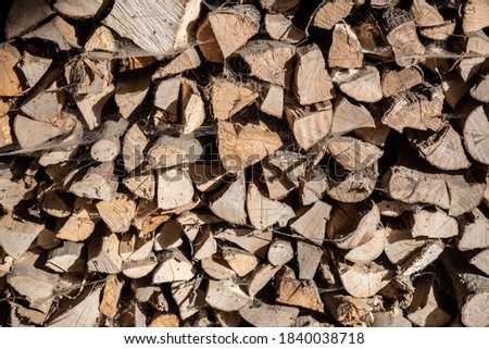 Firewood chopped logs for barbecue