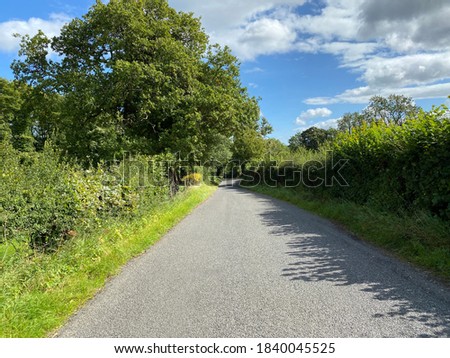 View down, Cocking Lane, with trees, bushes, and a blue sky in, Addingham, Ilkley, UK