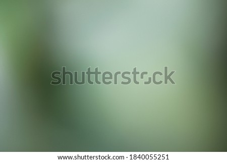 Blurred green abstract background, Abstract Blurry green nature background