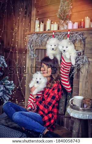 woman with three cute puppies sitting near Christmas tree and fireplace. Female holding little puppies in new year stockings.Christmas greeting card. Dog and human are friends. Happy New Year