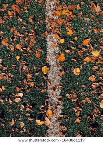 Top view of white marking line at artificial green grass coating for active games with yellow autumn leaves