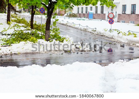 Snow on the city street in the springtime