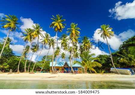 Colorful shack on a beach surrounded by palm trees in San Andres y Providencia, Colombia Royalty-Free Stock Photo #184009475
