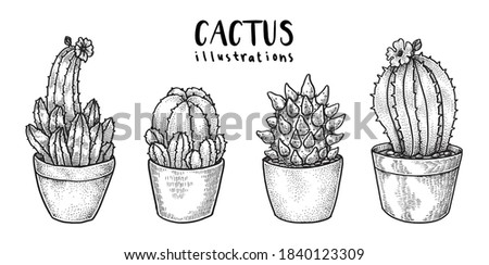 Cactus in a Pot, Hand Drawn Illustration set