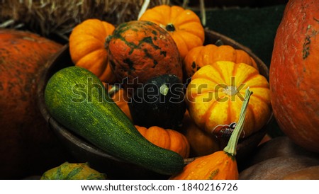 Small orange pumpkins sold at the Market for Halloween