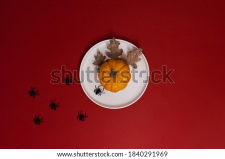 Christmas dinner background, plate with small pumpkin and leaves, spiders crawling into the plate, halloween dinner on red background, flat lay, copy space