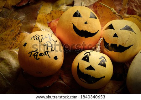 Background of Halloween pumpkins on a bed of autumn leaves