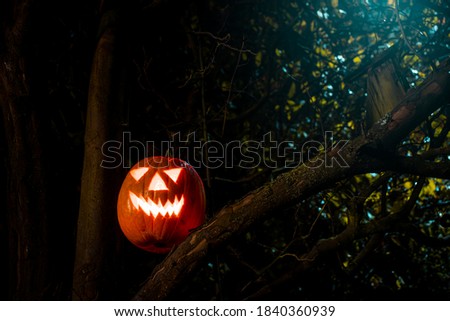 Spooky Halloween pumpkin lantern on an old tree at night