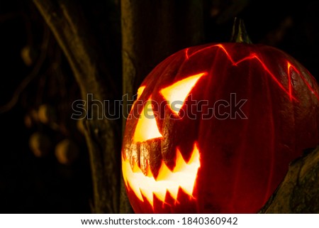 Spooky Halloween pumpkin lantern close up picture at night in the darkness