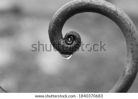 Raindrop on spiral Black and White