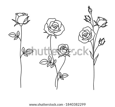 One line drawing. Garden rose with leaves. Hand drawn sketch. Set of flowers. Vector illustration. Royalty-Free Stock Photo #1840382299