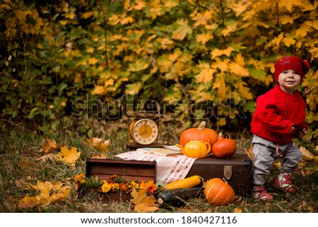 a child in a red Cap and sweater stands against the background of autumn leaves and autumn locations. Autumn photo shoot with a child. A child walks down the street in autumn, playing with pumpkins.