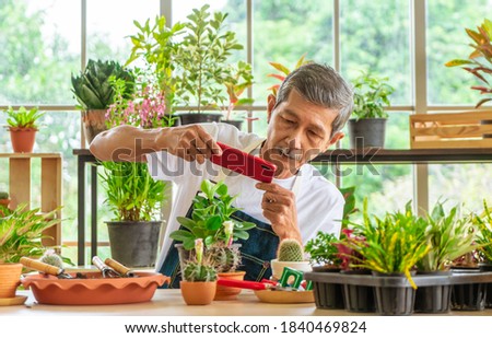 Senior Asian male is taking photo of his houseplant in his houseplant small business shop for sale online.