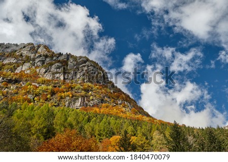 Mountain multicolor woods, in autumn season lake in Val di Mello, Val Masino , Italy - lombardy