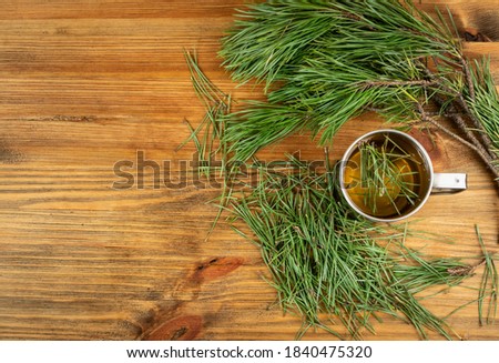 Pine needles tea in metal camping mug top view with copy space. Healthy winter beverage, pine tree needles tea. Medicine scurvy, source of vitamin C and carotene Royalty-Free Stock Photo #1840475320