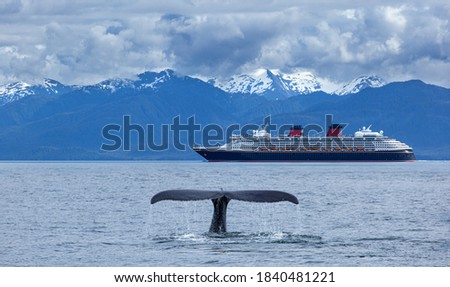  The whale shows the tail    on  cruise  liner and     snow mountains   background, Alaska, the USA Royalty-Free Stock Photo #1840481221