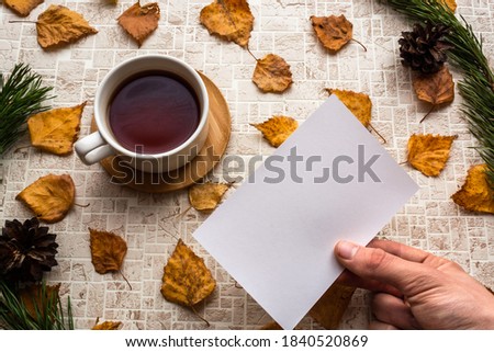 Looking at blank photo card with 
black tea cup against pastel background with fall leaves in pine branches and pine cones natural frame. Memories of past concept. Copy space