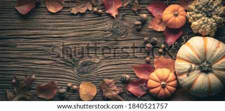 Thanksgiving - Rustic Harvest Table Background Decorated With Pumpkins Acorns And Leaves 