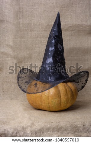 pumpkin in witch hat isolated on brown background