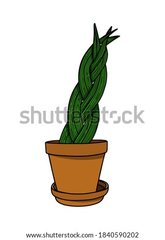 Plant in pot of hand drawn. Home plant. Vector illustration. 