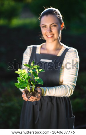 Young woman gardener holding in hands sprouted plant in soil. close-up shot with sunshine. Agriculture, ecology, farm, work on ground, harvest concept