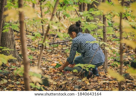 Mushroom picking during hike in the forest. Woman foraging the floor of woods in the wild during autumn. Natural food. Royalty-Free Stock Photo #1840643164