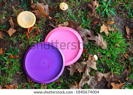 Picture of a purple and pink disc golf discs next to some mushrooms