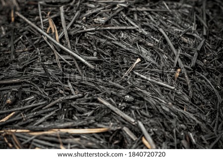 a picture of dry grass scorched by fire