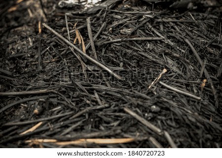 a picture of dry grass scorched by fire