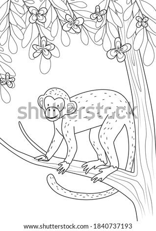 A monkey on a tree in the jungle. Coloring page for coloring book. Cartoon vector illustration.