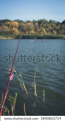 Fishing rod with a bell on the lake in autumn. A group of swans on the lake in the background. Toned photo with the vignetting.