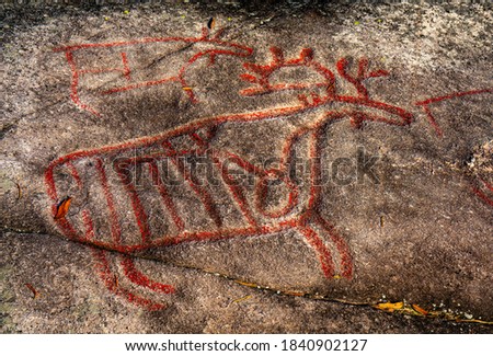 Elk or reindeer carved into a rock by hunters in the stone ages in Scandinavia. 
