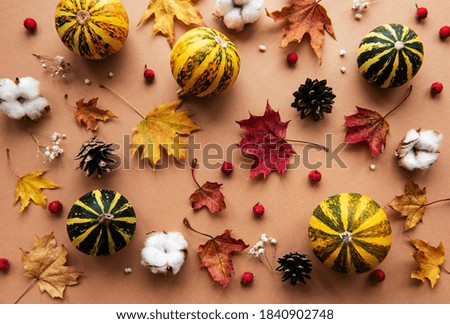 Autumn decoration with pumpkins and dry maple leaves on a brown background