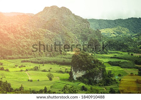 Beautiful mountain scenery at sunrise foggy hills view covered with forest in the morning.