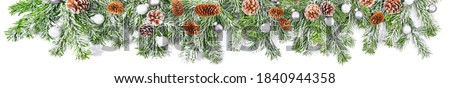 Christmas Fir Brnaches with Snow  isolated on white Background - Super Wide Panorama