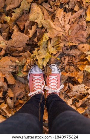 Beautiful autumn brown leaves in hipster style pink shoes