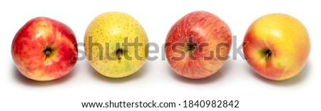 Panoramic picture of natural organic apples isolated on white background. Various types of fresh ripe apples in different colors: red, yellow, golden and orange.
