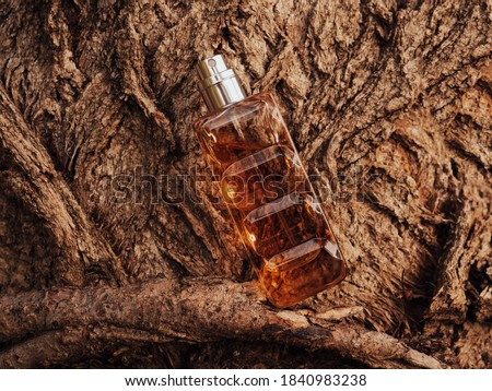 Woody fragrance. Perfume spray bottle on wooden tree bark as background. Transparent glass cologne aroma template. Woody notes of perfume. Luxury product package closeup. Minimal nature spa concept Royalty-Free Stock Photo #1840983238